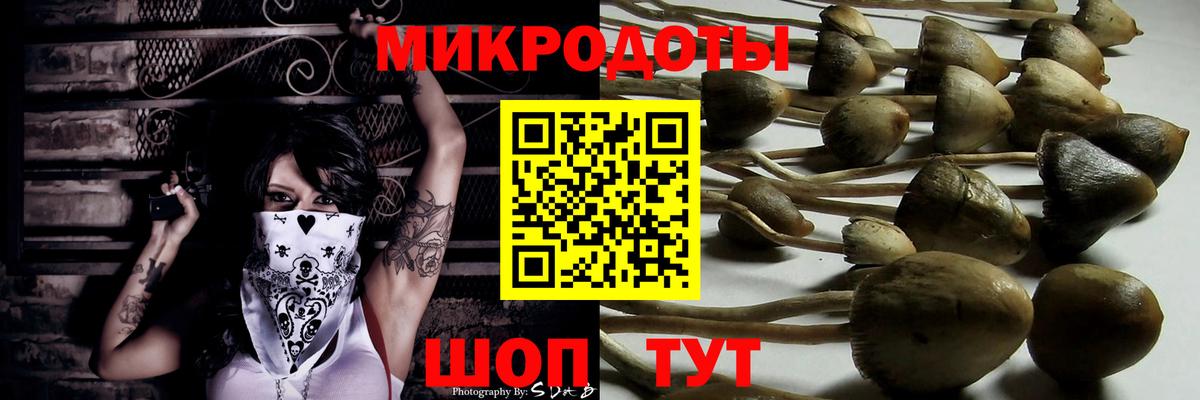 Галлюциногенные грибы прущие грибы Мичуринск