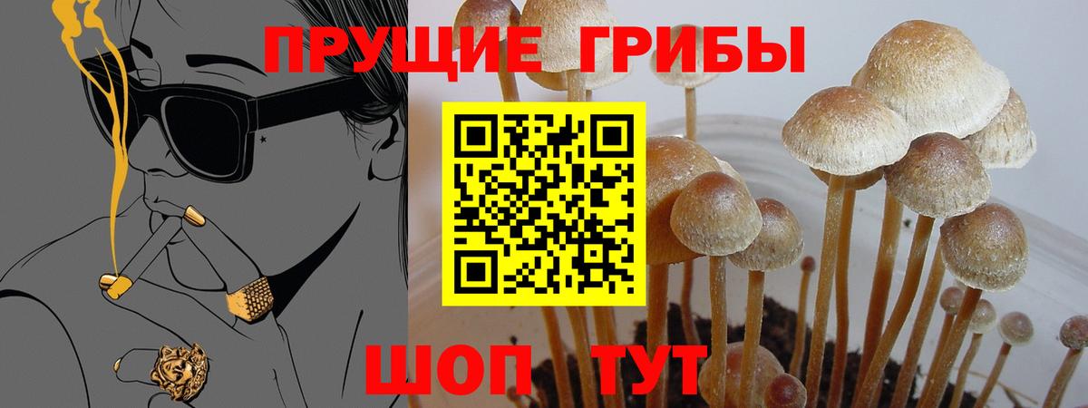 Псилоцибиновые грибы MAGIC MUSHROOMS  Вход с VPN  Мичуринск 
